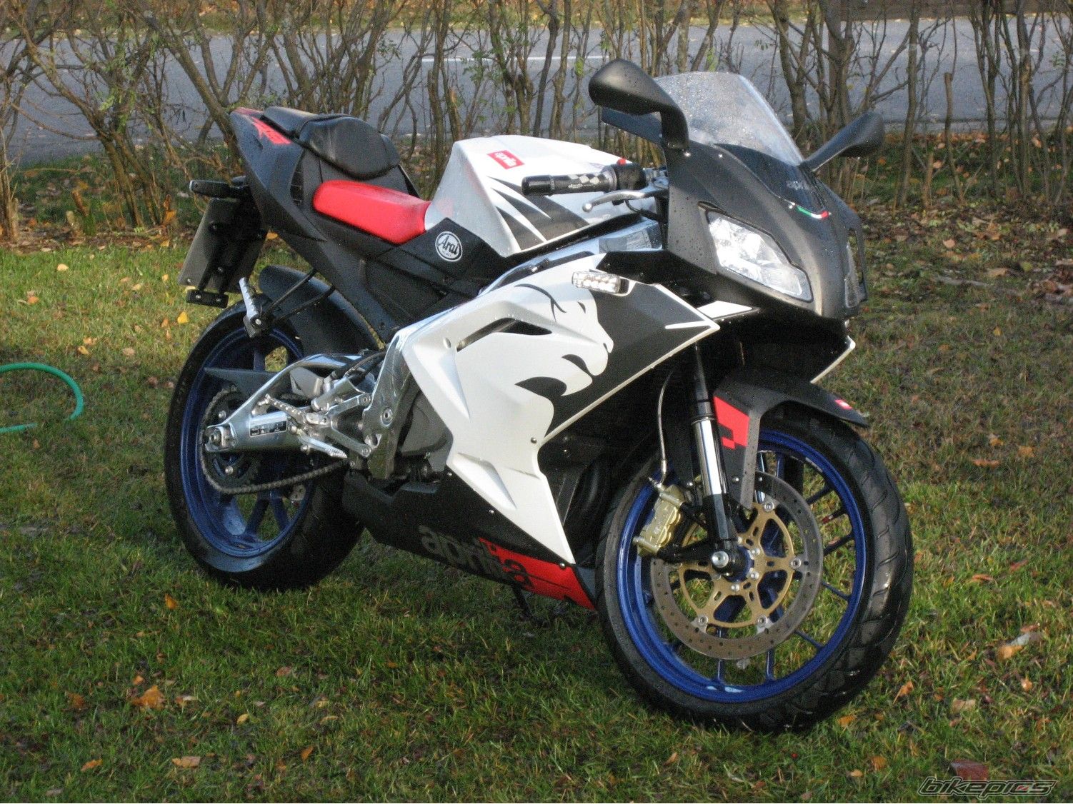 2006 APRILIA RS 125 | Picture 758727 motorcycle photo