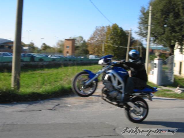 2003 SUZUKI SV 650 | Picture 75899 motorcycle photo