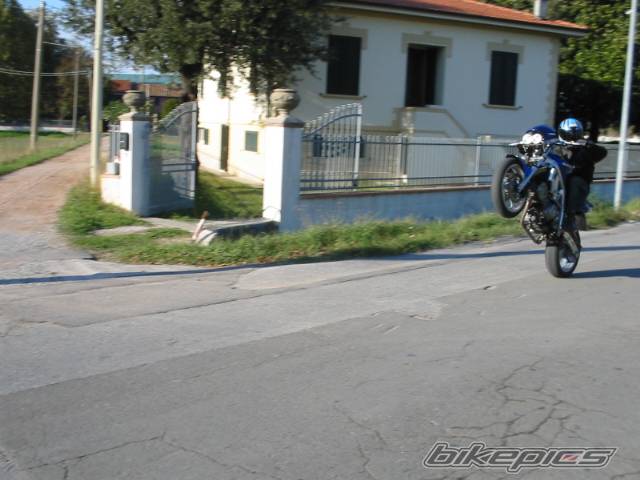 2003 SUZUKI SV 650 | Picture 75900 motorcycle photo
