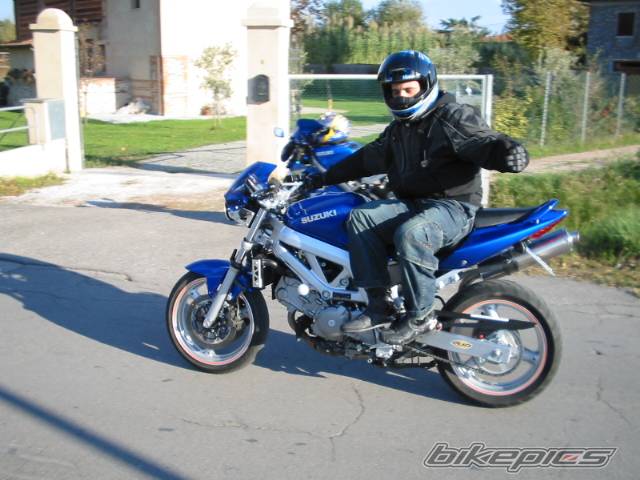 2003 SUZUKI SV 650 | Picture 75901 motorcycle photo