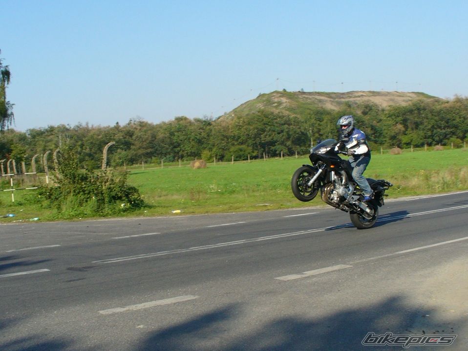 2005 YAMAHA FZ6 FAZER | Picture 759054 motorcycle photo