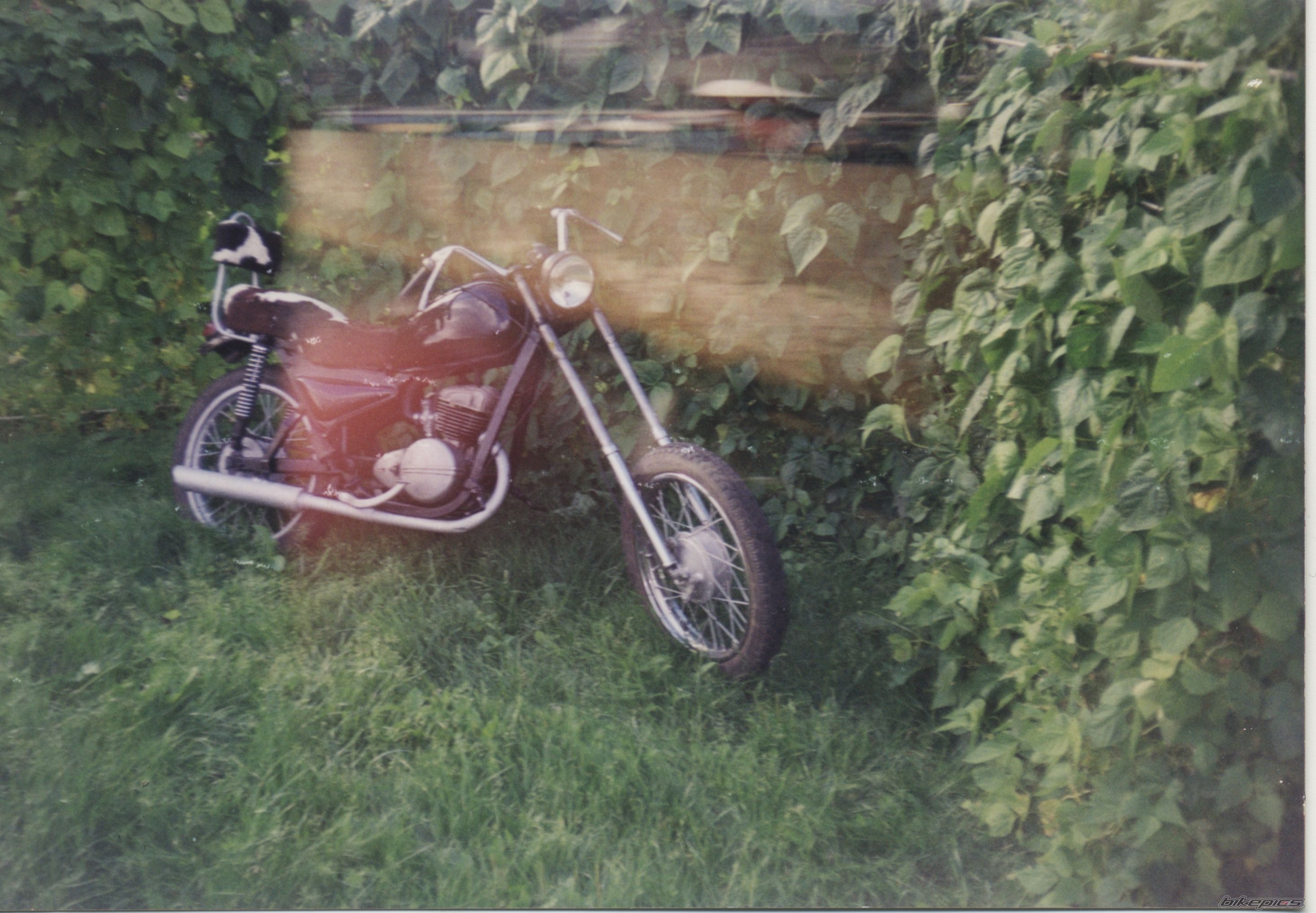 1979 WSK 125 | Picture 759897 motorcycle photo