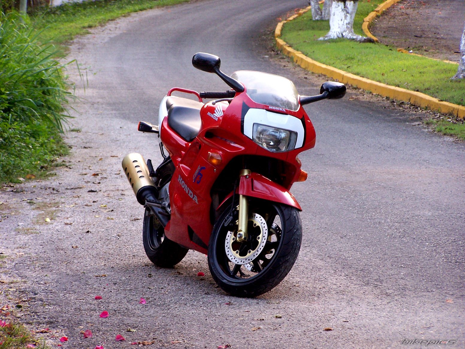 1991 HONDA CBR 600 | Picture 760033 motorcycle photo