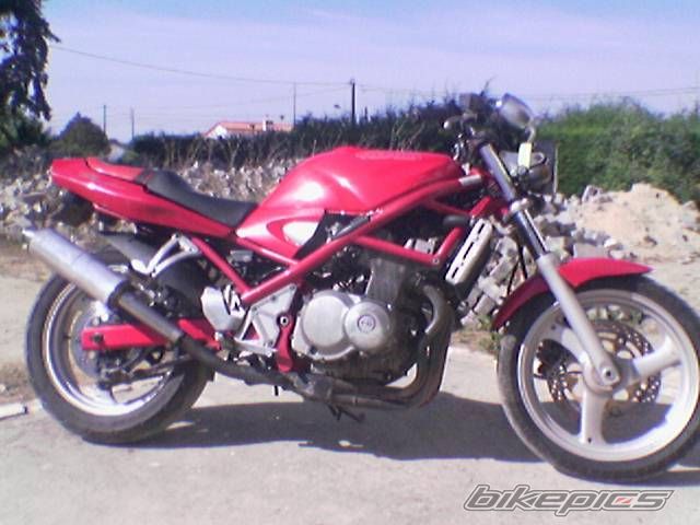 1993 SUZUKI BANDIT 400 | Picture 761099 motorcycle photo