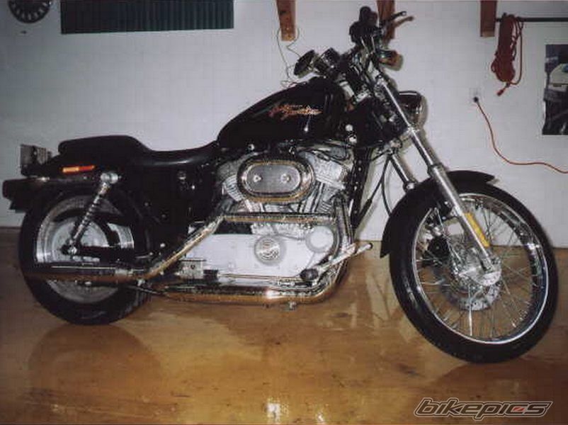 2002 HARLEY DAVIDSON XL 883C | Picture 761670 motorcycle photo