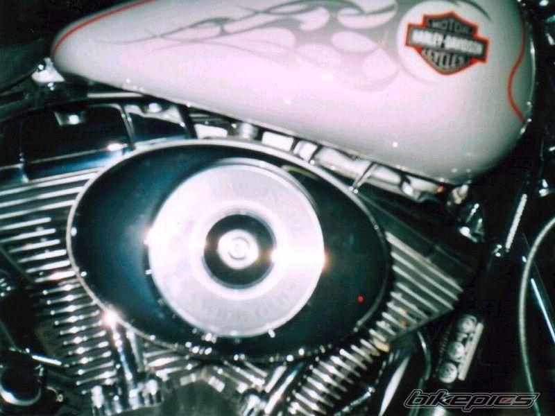 2002 HARLEY DAVIDSON FXDWG | Picture 761719 motorcycle photo