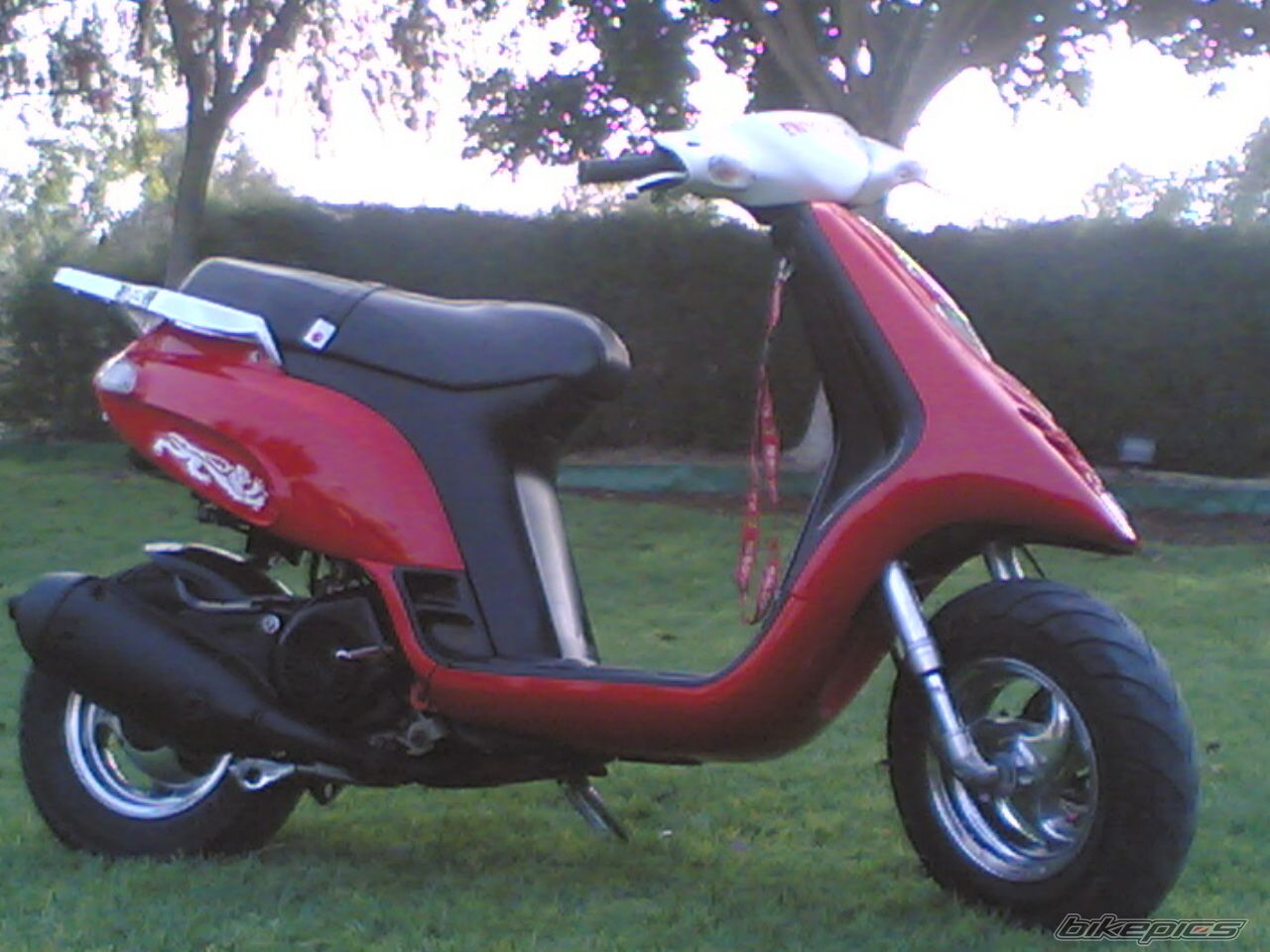 2007 PIAGGIO TYPHOON 125 | Picture 761853 motorcycle photo