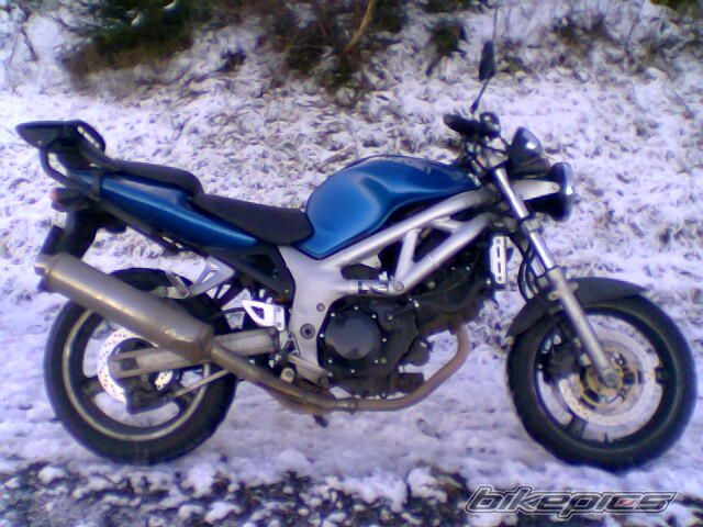 1999 SUZUKI SV 650 | Picture 761870 motorcycle photo
