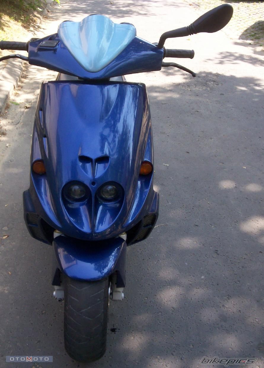1996 MALAGUTI F 12 50 | Picture 762060 motorcycle photo
