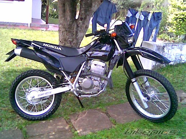 2006 HONDA XR 250 | Picture 762155 motorcycle photo
