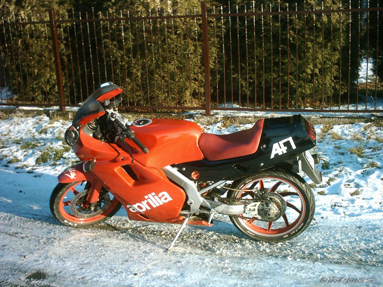 1989 APRILIA AF1 FUTURA 50 | Picture 762210 motorcycle photo