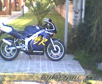 2000 HONDA NSR 50 | Picture 76240 motorcycle photo