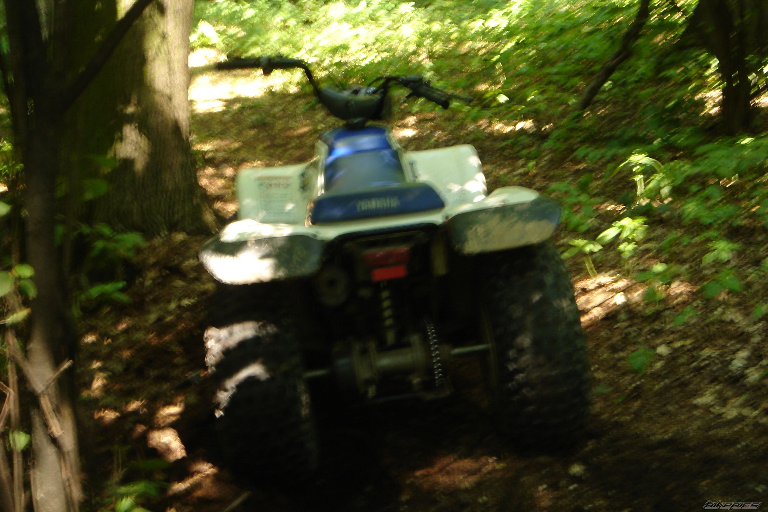 2001 YAMAHA BREEZE | Picture 762831 motorcycle photo