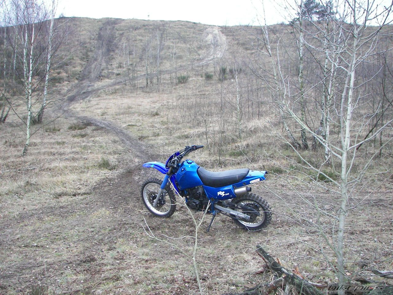    | Picture 762985 motorcycle photo