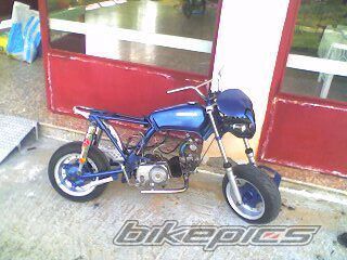 2005 YAMAHA CRYPTON R 115 | Picture 763126 motorcycle photo