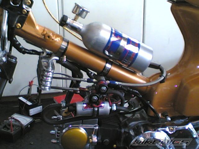 2006 HONDA GLX 50 | Picture 763241 motorcycle photo