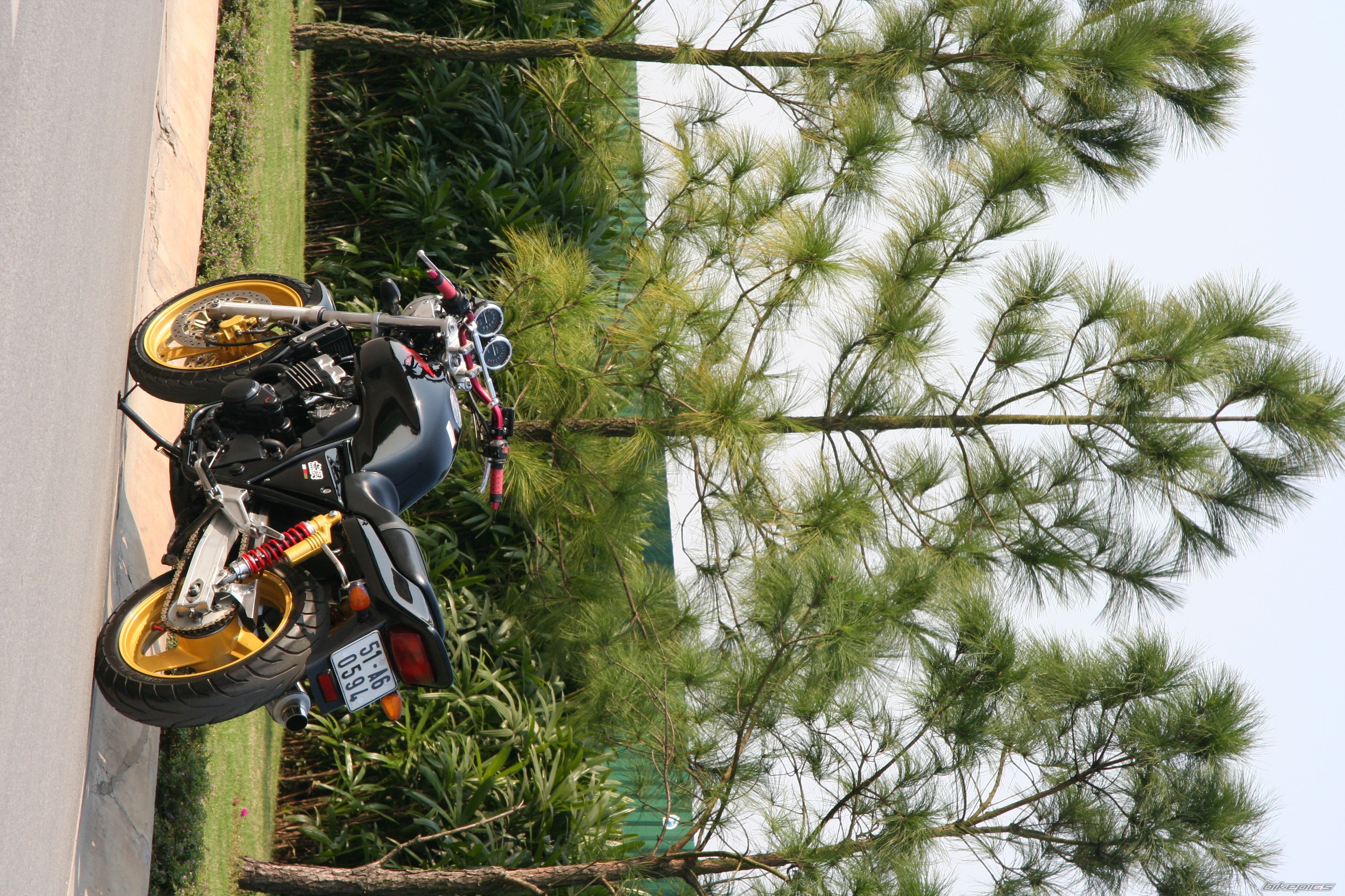 1995 HONDA CB 400 | Picture 763362 motorcycle photo
