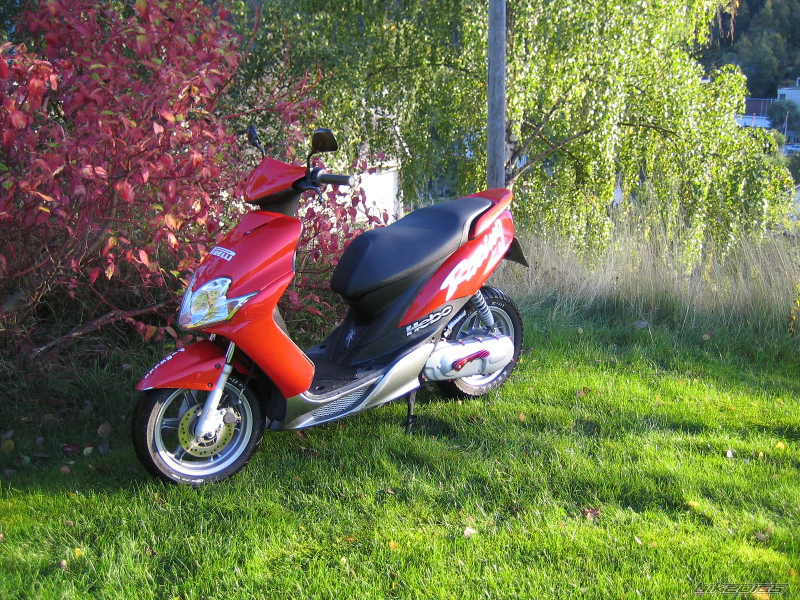 2004 YAMAHA JOG R CS 50 | Picture 763654 motorcycle photo