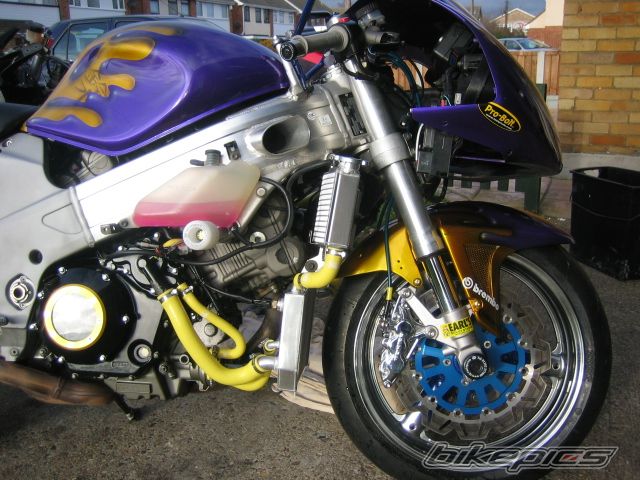 1998 SUZUKI TL1000R | Picture 763841 motorcycle photo