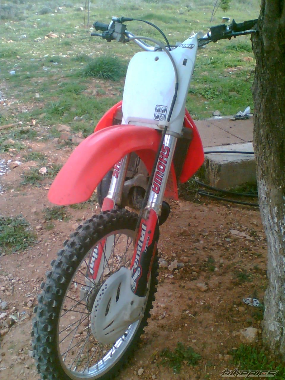 2002 HONDA CR 250 | Picture 764215 motorcycle photo