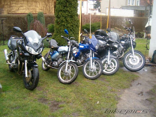 2002 SUZUKI BANDIT 600S | Picture 764437 motorcycle photo