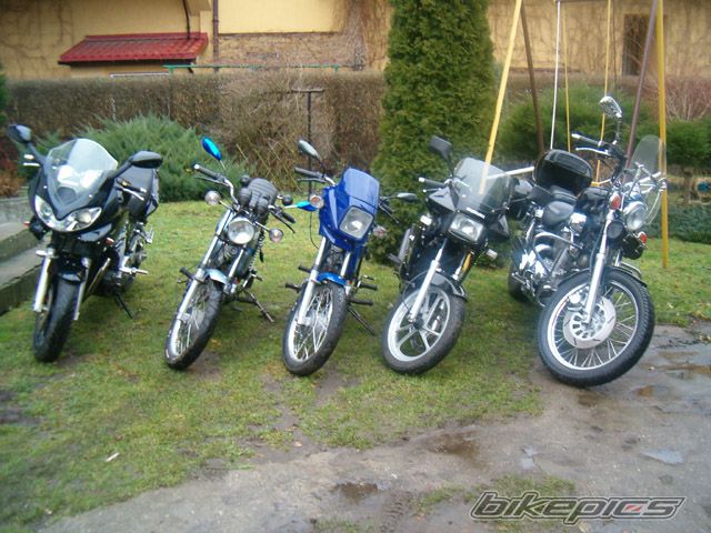 1993 YAMAHA VIRAGO 535 | Picture 764439 motorcycle photo