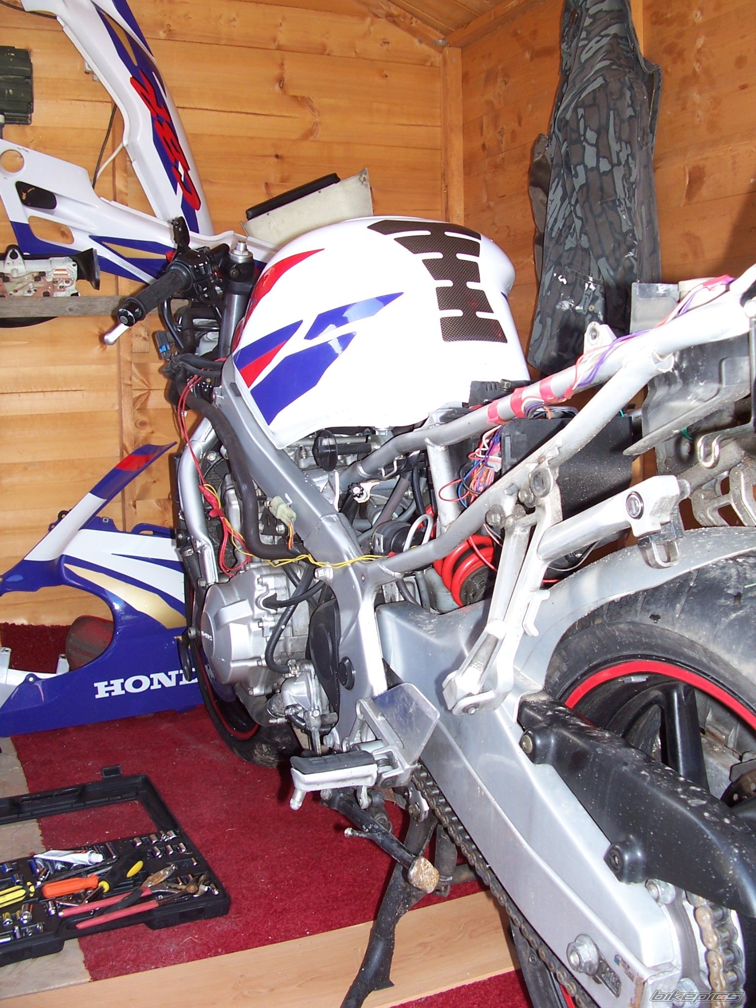1995 HONDA CBR 600 | Picture 764498 motorcycle photo