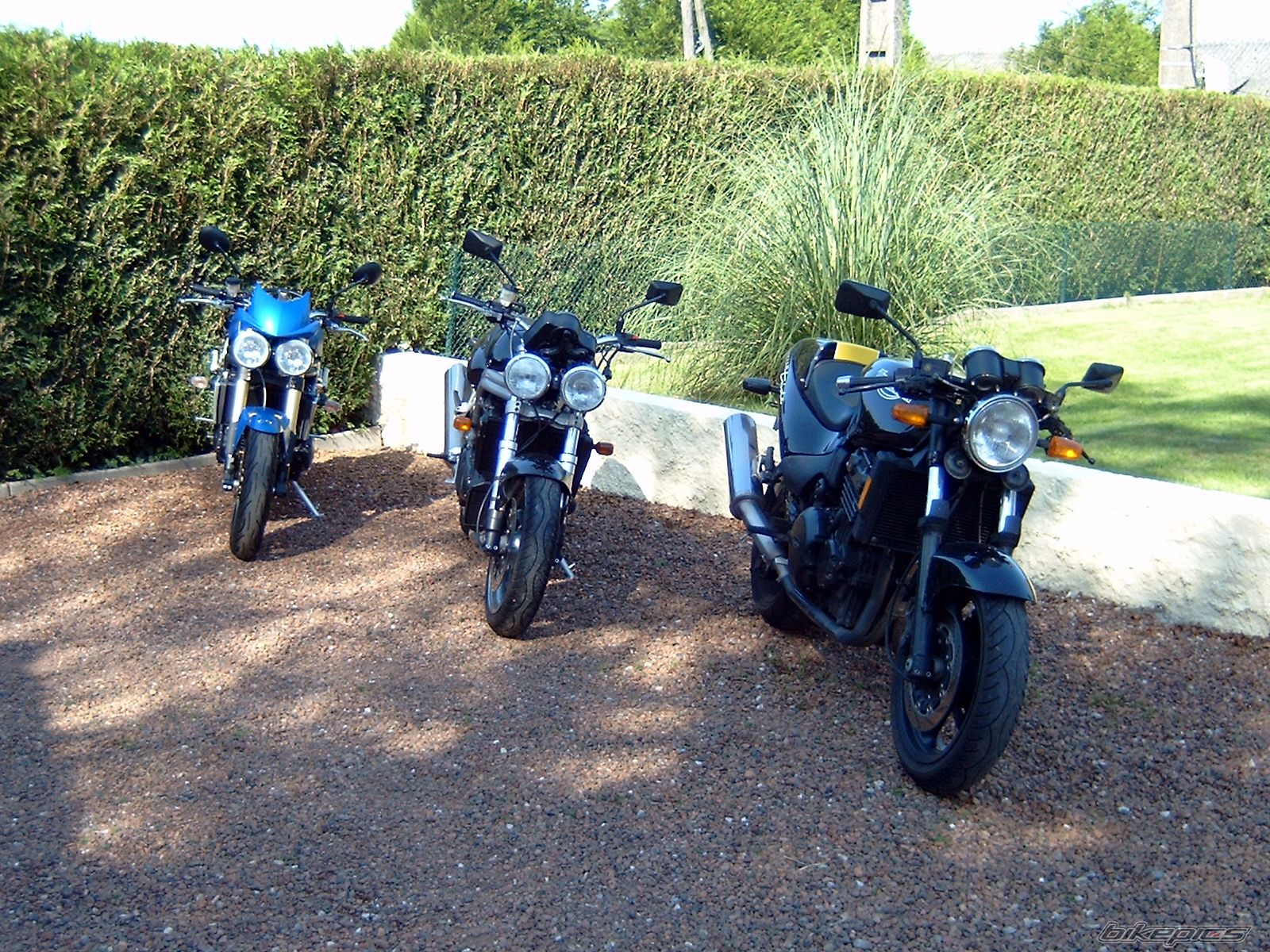 1995 TRIUMPH SPEED TRIPLE | Picture 765962 motorcycle photo