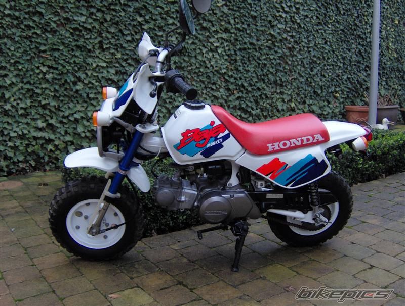 2007 HONDA Z 50 | Picture 766127 motorcycle photo