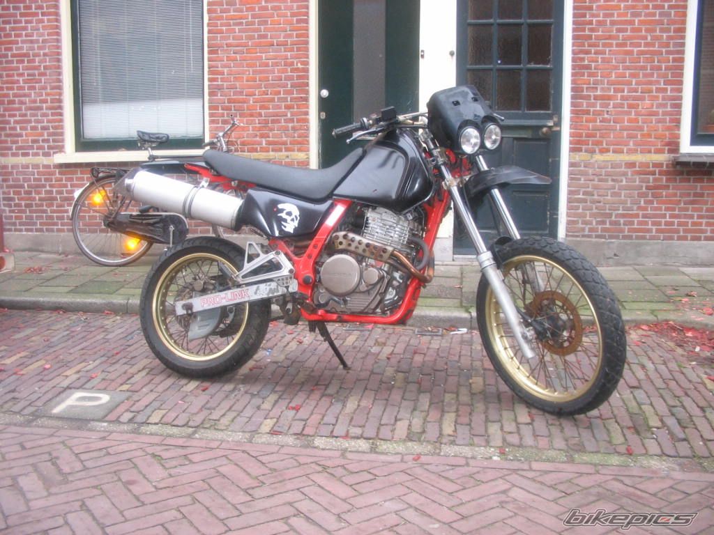 1989 HONDA NX 650 DOMINATOR | Picture 766397 motorcycle photo