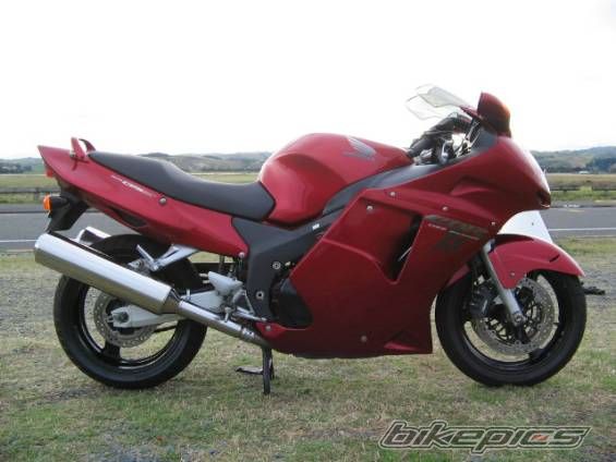 1998 HONDA CBR 1100 BLACKBIRD | Picture 766831 motorcycle photo