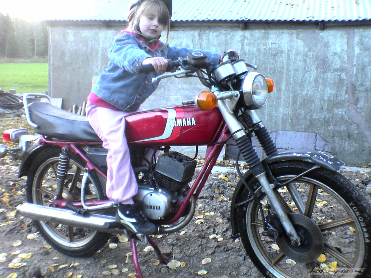 1980 YAMAHA RD 50 | Picture 766926 motorcycle photo