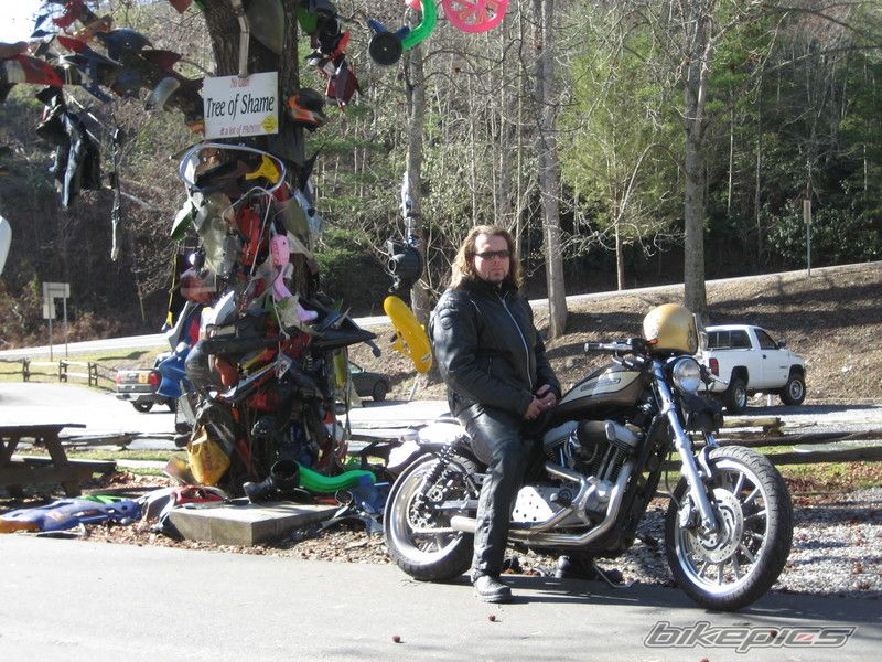 2004 HARLEY DAVIDSON XL 1200R | Picture 767919 motorcycle photo