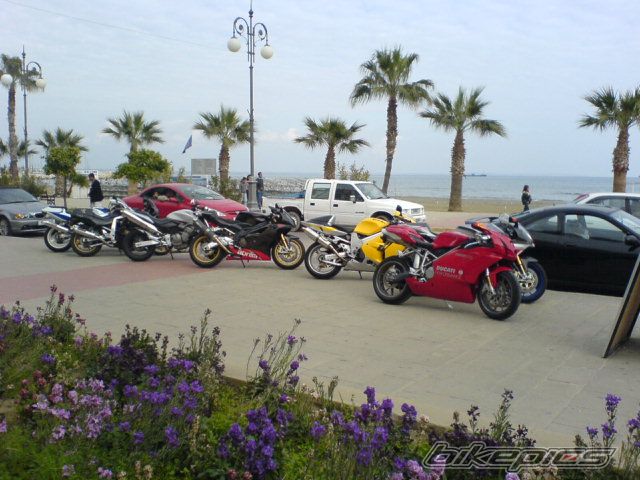 2006 APRILIA RSV MILLE FACTORY | Picture 768354 motorcycle photo