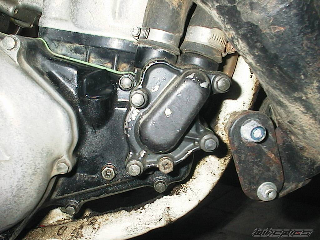 1989 HONDA CR 500 | Picture 76864 motorcycle photo