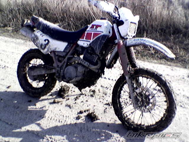 1984 YAMAHA XT 600 | Picture 768731 motorcycle photo