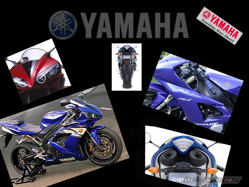 2004 YAMAHA YZF R1 | Picture 76877 motorcycle photo