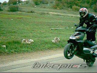 2002 APRILIA SR RACING 50 | Picture 76931 motorcycle photo