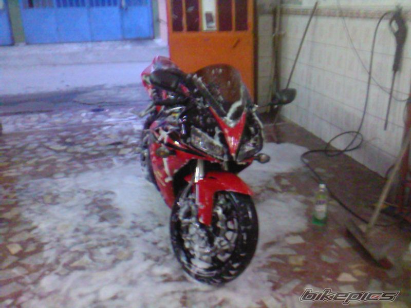 2006 HONDA CBR 1000  RR | Picture 769622 motorcycle photo