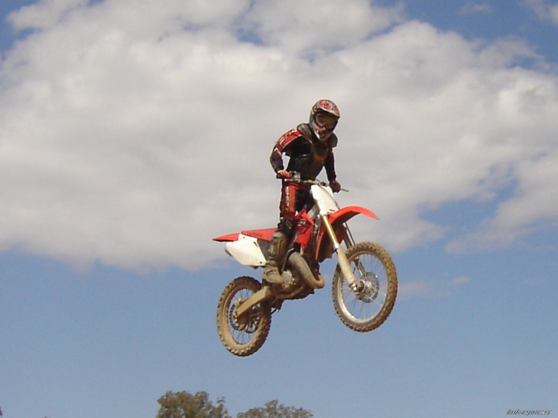 2006 HONDA CR 125 | Picture 769815 motorcycle photo