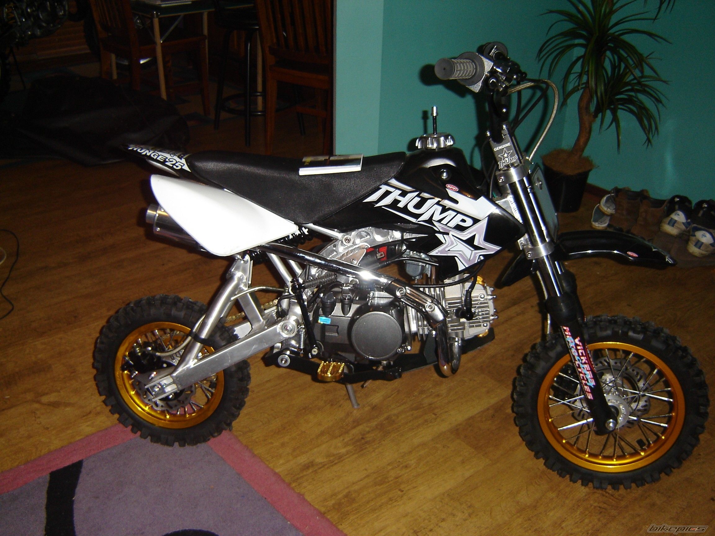 2005 THUMPSTAR THUMPSTAR 125 HUNGE | Picture 769822 motorcycle photo