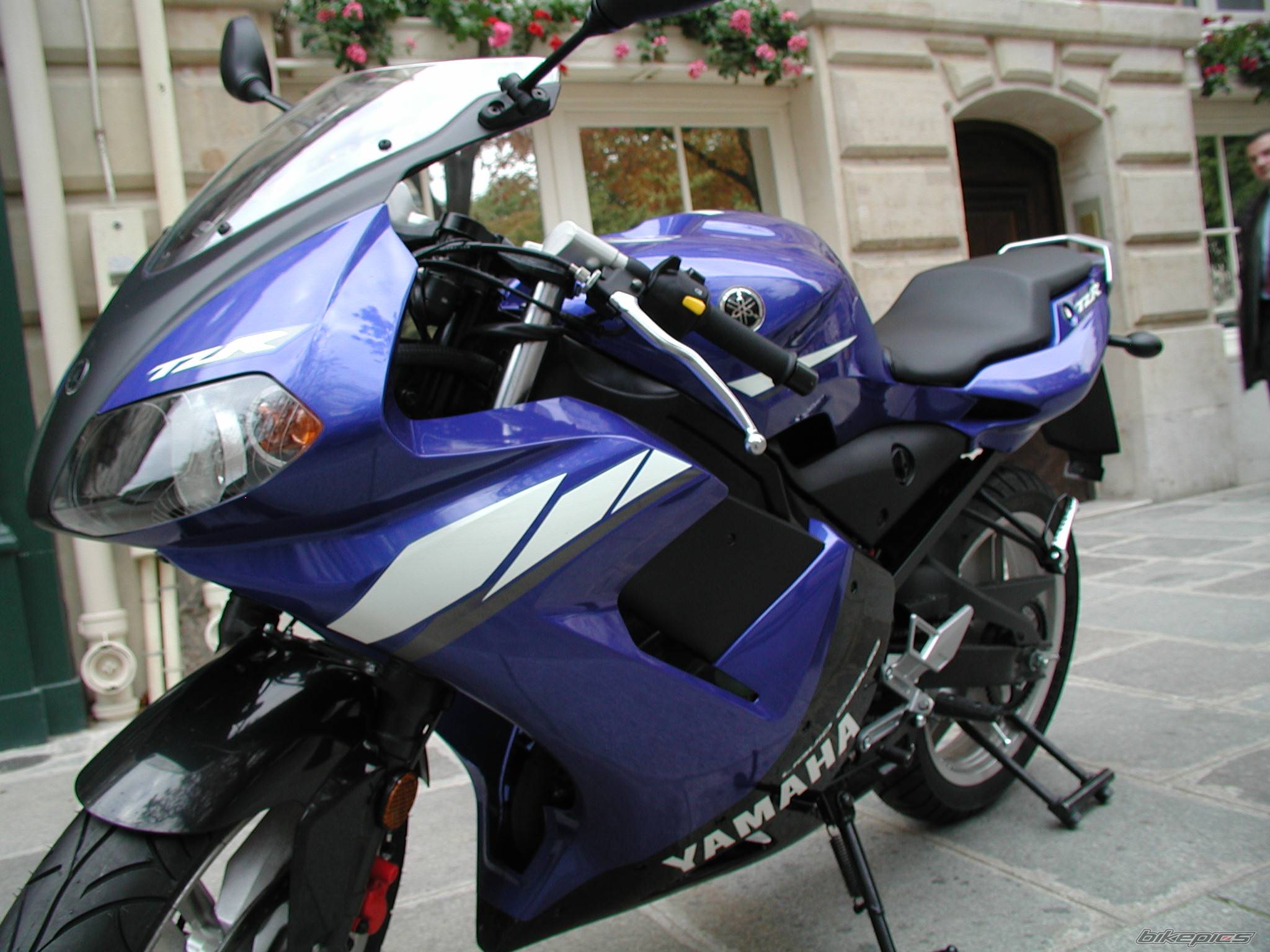 2003 YAMAHA TZR 50 | Picture 77002 motorcycle photo
