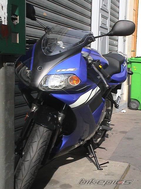 2003 YAMAHA TZR 50 | Picture 77008 motorcycle photo