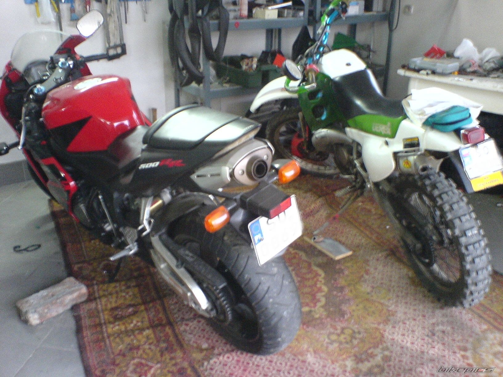 1999 DERBI SENDA R 50 | Picture 770278 motorcycle photo