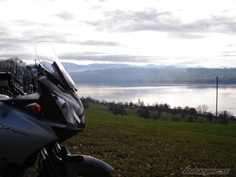 2006 SUZUKI DL 650 | Picture 770509 motorcycle photo