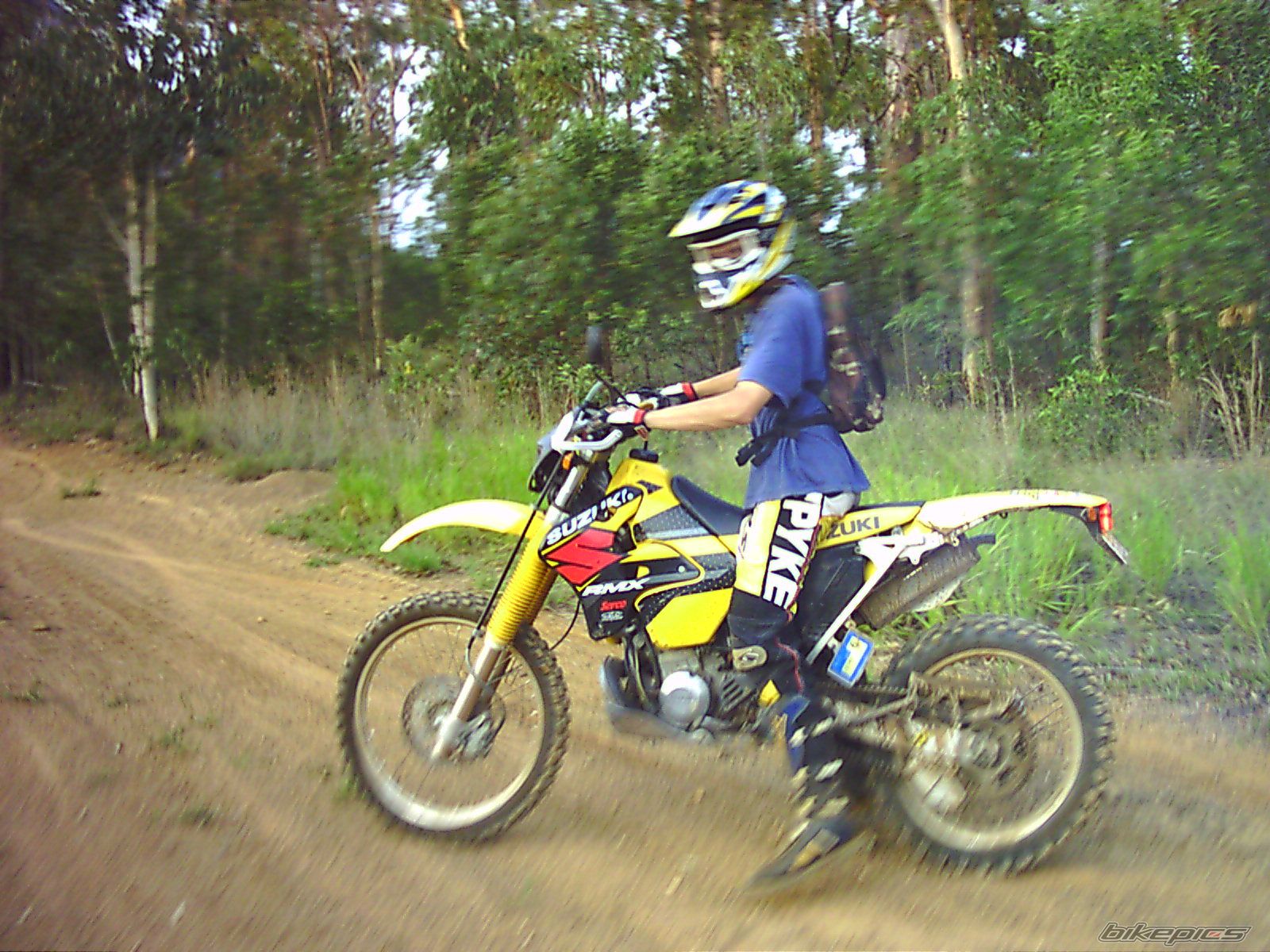 1998 SUZUKI RMX 250 | Picture 771084 motorcycle photo