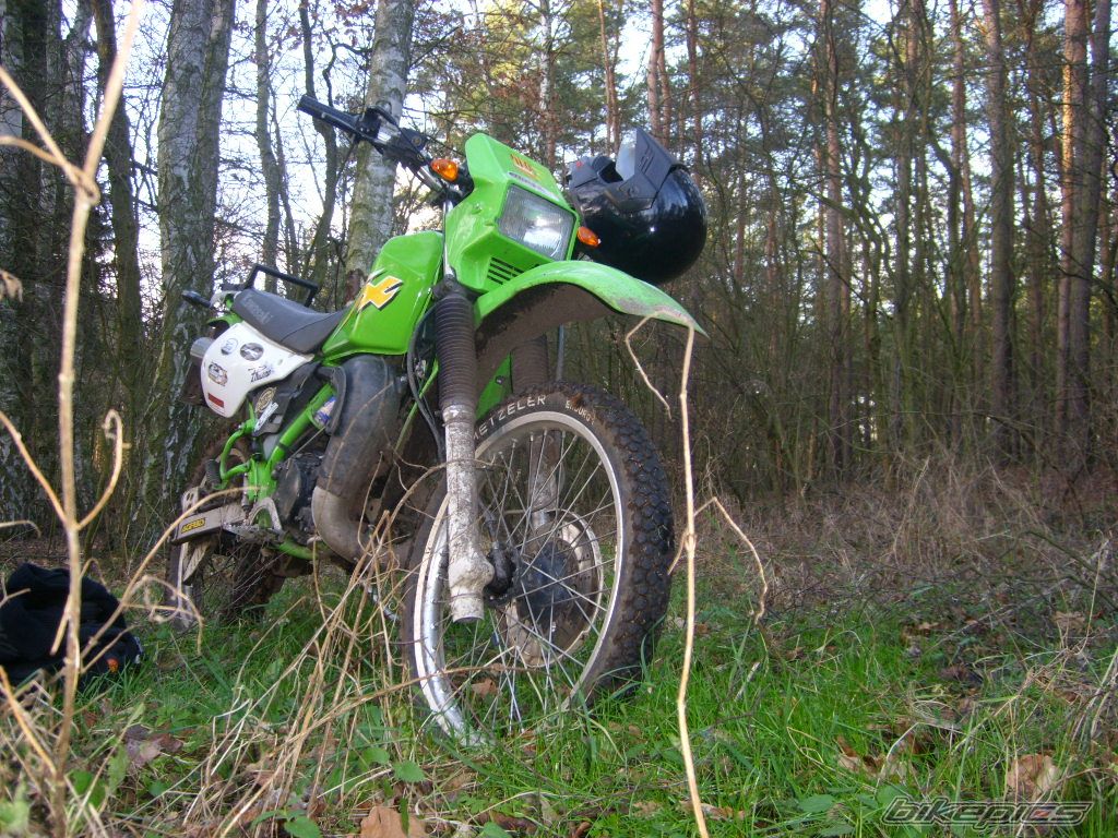 1998 KAWASAKI KMX 125 | Picture 771178 motorcycle photo