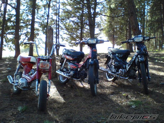 2007 HONDA GLX 50 | Picture 771179 motorcycle photo