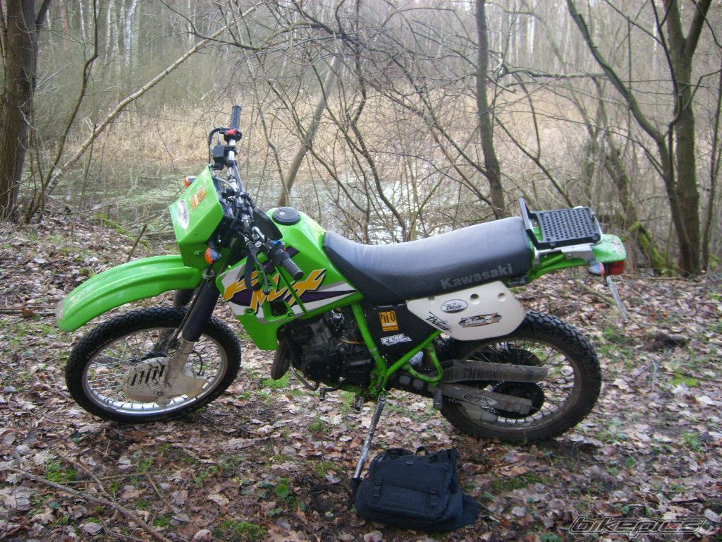 1998 KAWASAKI KMX 125 | Picture 771181 motorcycle photo
