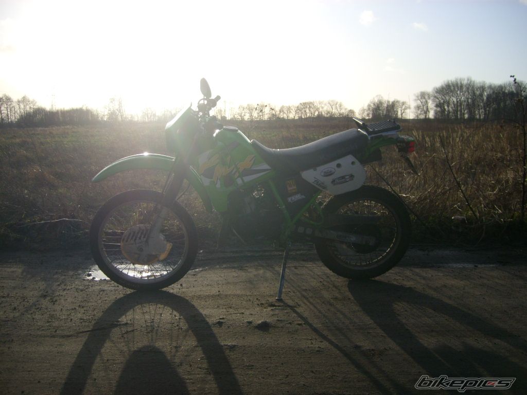 1998 KAWASAKI KMX 125 | Picture 771185 motorcycle photo